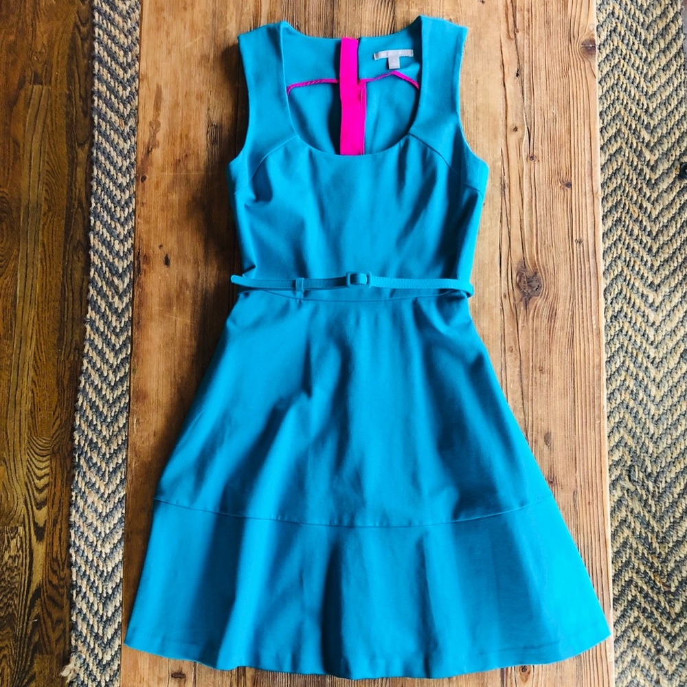 Banana Republic sleeveless, belted, sheath dress